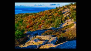 Fall Colors on Cadillac Mtn